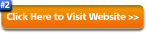 Visit #2 Website